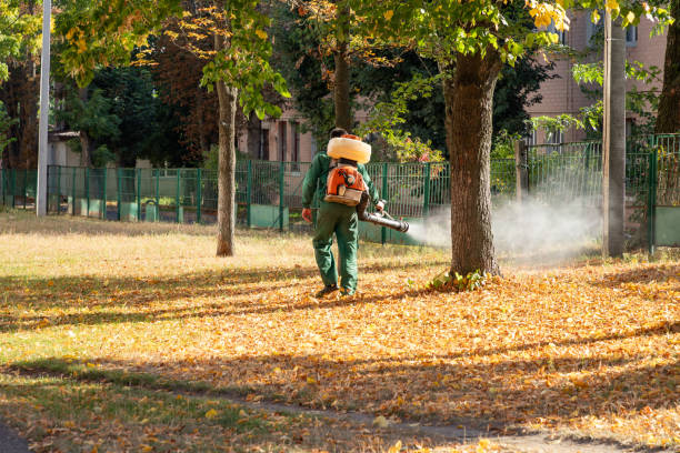 Professional Pest Control in Casa De Oro Mount Helix, CA