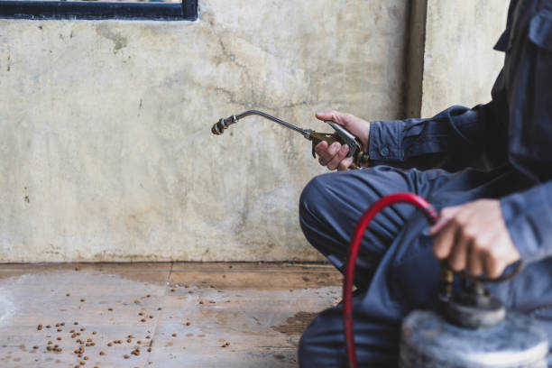 Best Pest Control Near Me  in Sa De Oro Mount Helix, CA